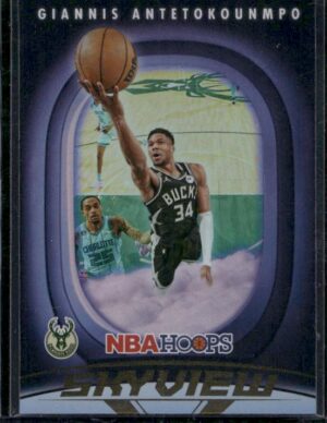 #16 Skyview - Giannis Antetokounmpo