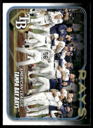 #211 Base - Tampa Bay Rays