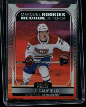 #201 - Sunset - Cole Caufield