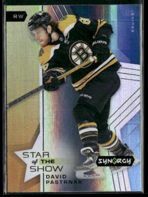 #SOS-3 Star of the Show - David Pastrnak
