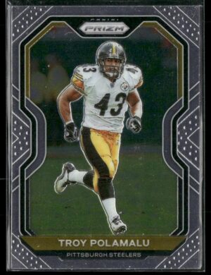 #73 - Troy Polamalu