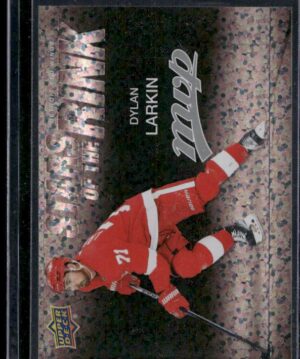 #SS-18 Stars of the Rink - Dylan Larkin